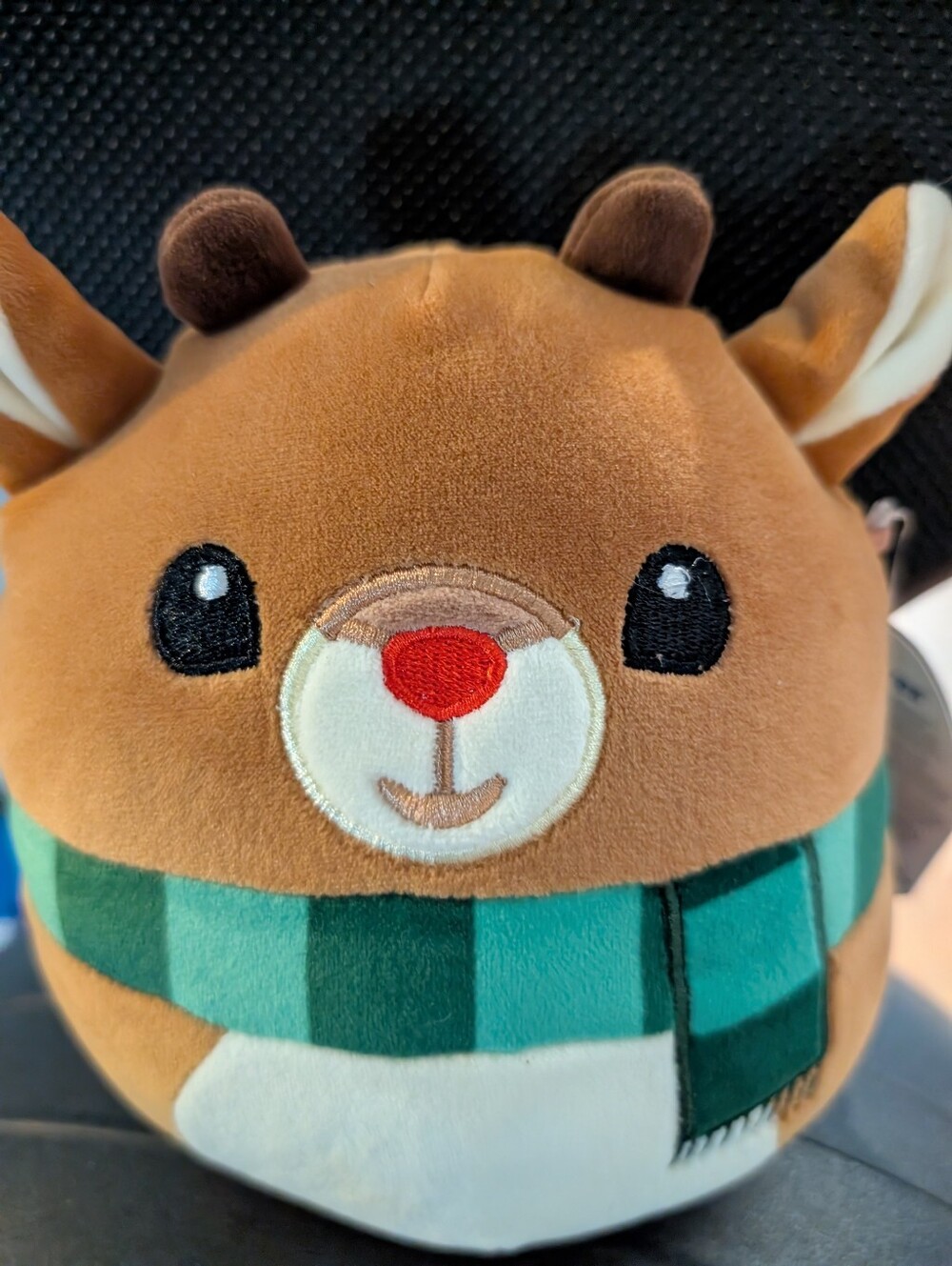 Squishmallows Rudolph Plus 8"